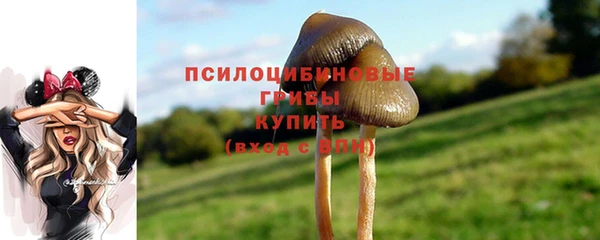 амф Белоозёрский