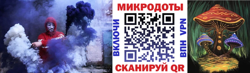 Псилоцибиновые грибы Psilocybe  где купить наркоту  Звенигово 